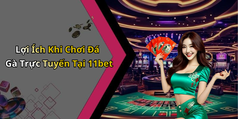 Lợi Ích Khi Chơi Đá Gà Trực Tuyến Tại 11bet